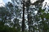 100 Peaceful Home Road - Photo 13