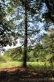 100 Peaceful Home Road - Photo 20