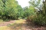 100 Peaceful Home Road - Photo 29