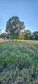 117672 4202 Road - Photo 5