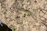  County Road 1170 - Photo 18