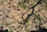  County Road 1170 - Photo 19