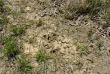  County Road 1170 - Photo 20