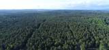 0001 Three Creeks Road - Photo 4