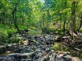 0001 Three Creeks Road - Photo 5