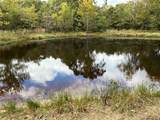  County Road 3647 Road - Photo 2