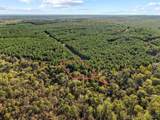 134 Wolf Tree Trail - Photo 12