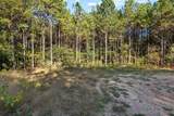 134 Wolf Tree Trail - Photo 2