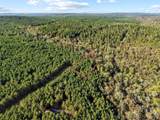 134 Wolf Tree Trail - Photo 8