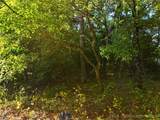 0 Pecan Road - Photo 8