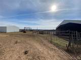 68400 330th Road - Photo 25