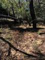  Buckholt Road - Photo 6