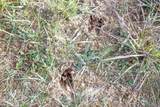  County Road 1170 - Photo 4
