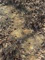  Fig Road - Photo 11