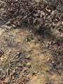  Fig Road - Photo 12
