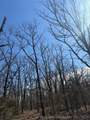  Fig Road - Photo 40