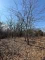  Fig Road - Photo 49