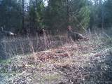  Fig Road - Photo 58