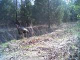  Fig Road - Photo 60