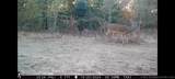  Fig Road - Photo 63