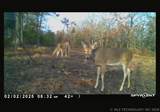  Fig Road - Photo 64