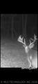  Fig Road - Photo 68