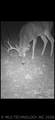  Fig Road - Photo 69