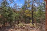555 White Chimney - Photo 43