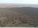 0007 County Road 2145 - Photo 5