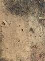  805 Road - Photo 8