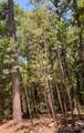  Whispering Pines - Photo 1