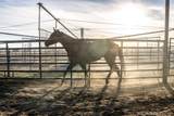 29550 4240 Road - Photo 71