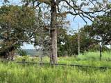 2822 Lott Bottom Road - Photo 3
