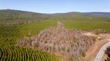 443887 State Hwy 144 - Photo 10