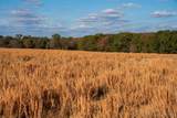 60 County Road 4440 - Photo 47