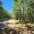 23174 Flint Ridge Drive - Photo 12