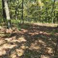 23174 Flint Ridge Drive - Photo 8