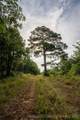  Savage Road - Photo 67