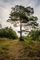  Savage Road - Photo 68