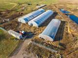 426550 250 Road - Photo 3