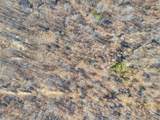  Forest Drive - Photo 14