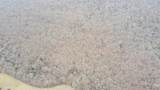  810 Road - Photo 11