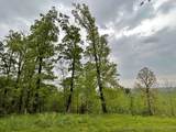 1229 Pheasant Run Road - Photo 2