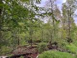 1229 Pheasant Run Road - Photo 4