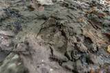 403238 1250 - Photo 10