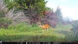 19001 41st Street - Photo 83