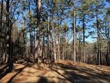 4 Goats Bluff Road - Photo 3
