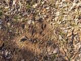 166 630 Road - Photo 42