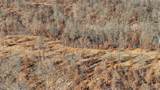  693 Road - Photo 15