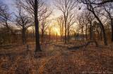 8412 Texoma Hills Road - Photo 21